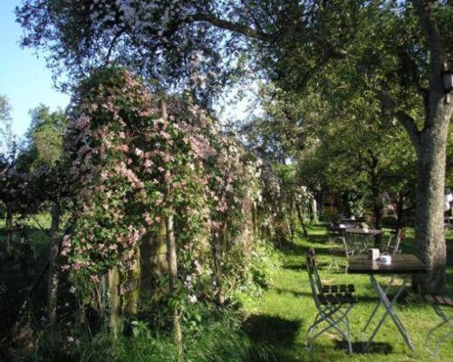Hotellerie Waldesruh Oberlimberg Dış mekan fotoğraf