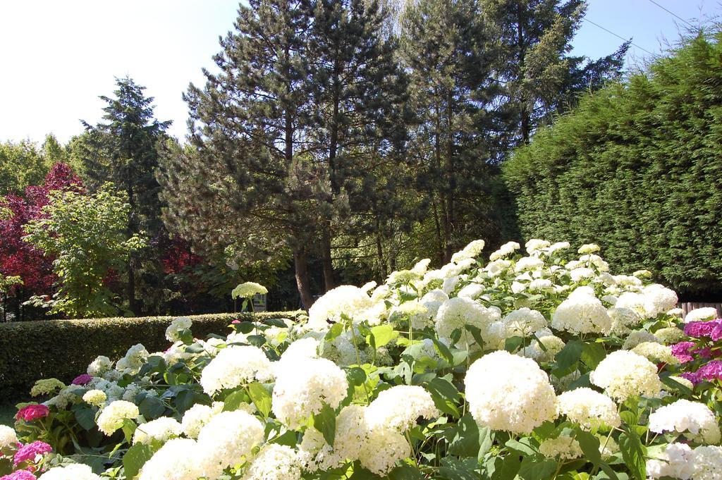 Hotellerie Waldesruh Oberlimberg Dış mekan fotoğraf